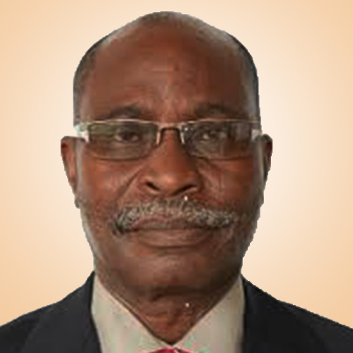 Prof. Idowu Sobowale